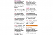 El Periódico4-01