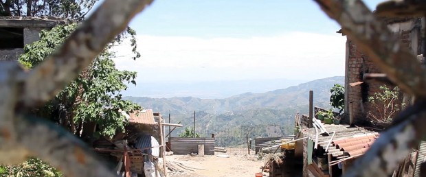 PÁJAROS DE FORNTERA